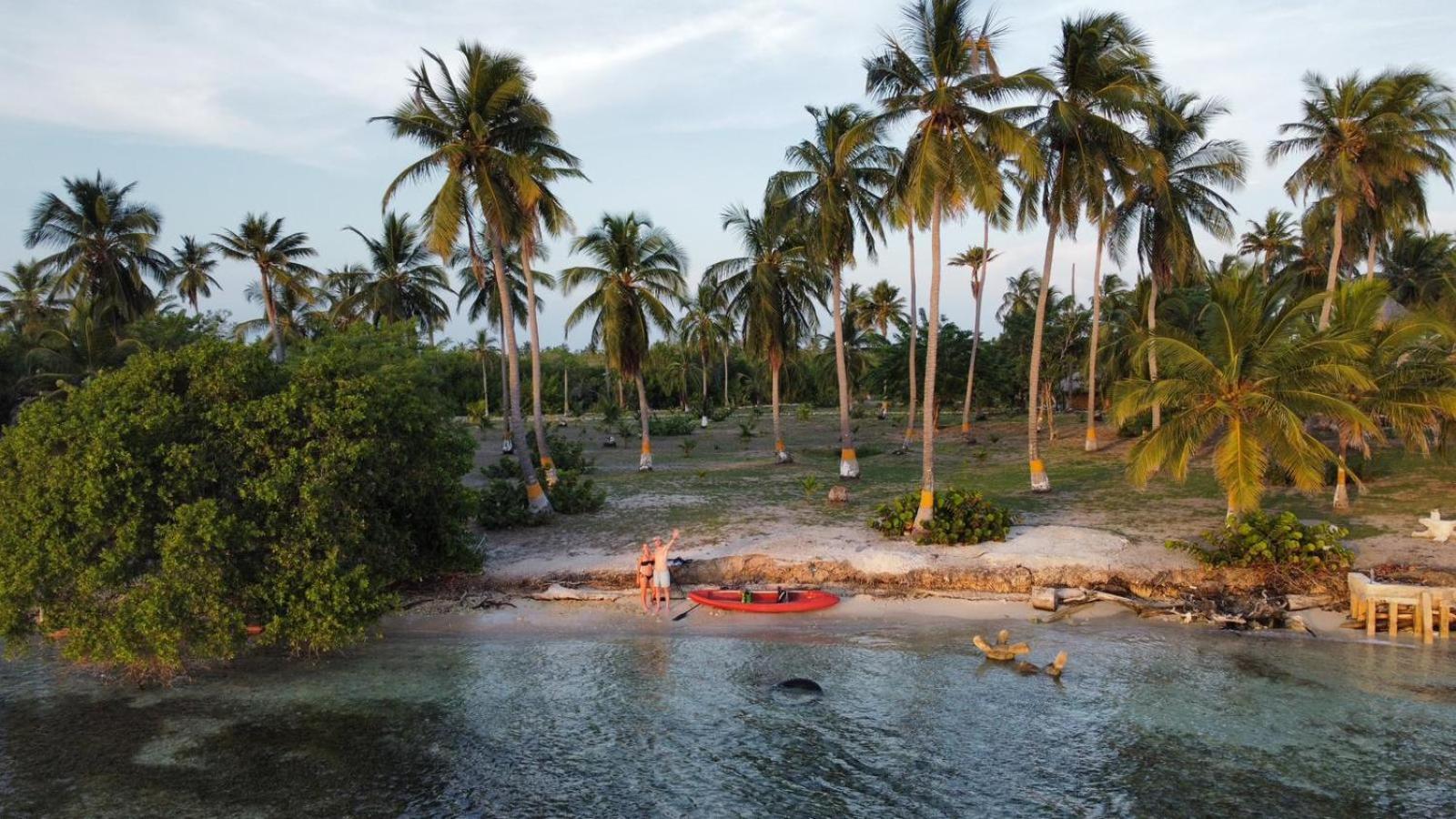 Santa Lova Eco-Hostel Isla Tintipan Tintipan Island Exteriör bild