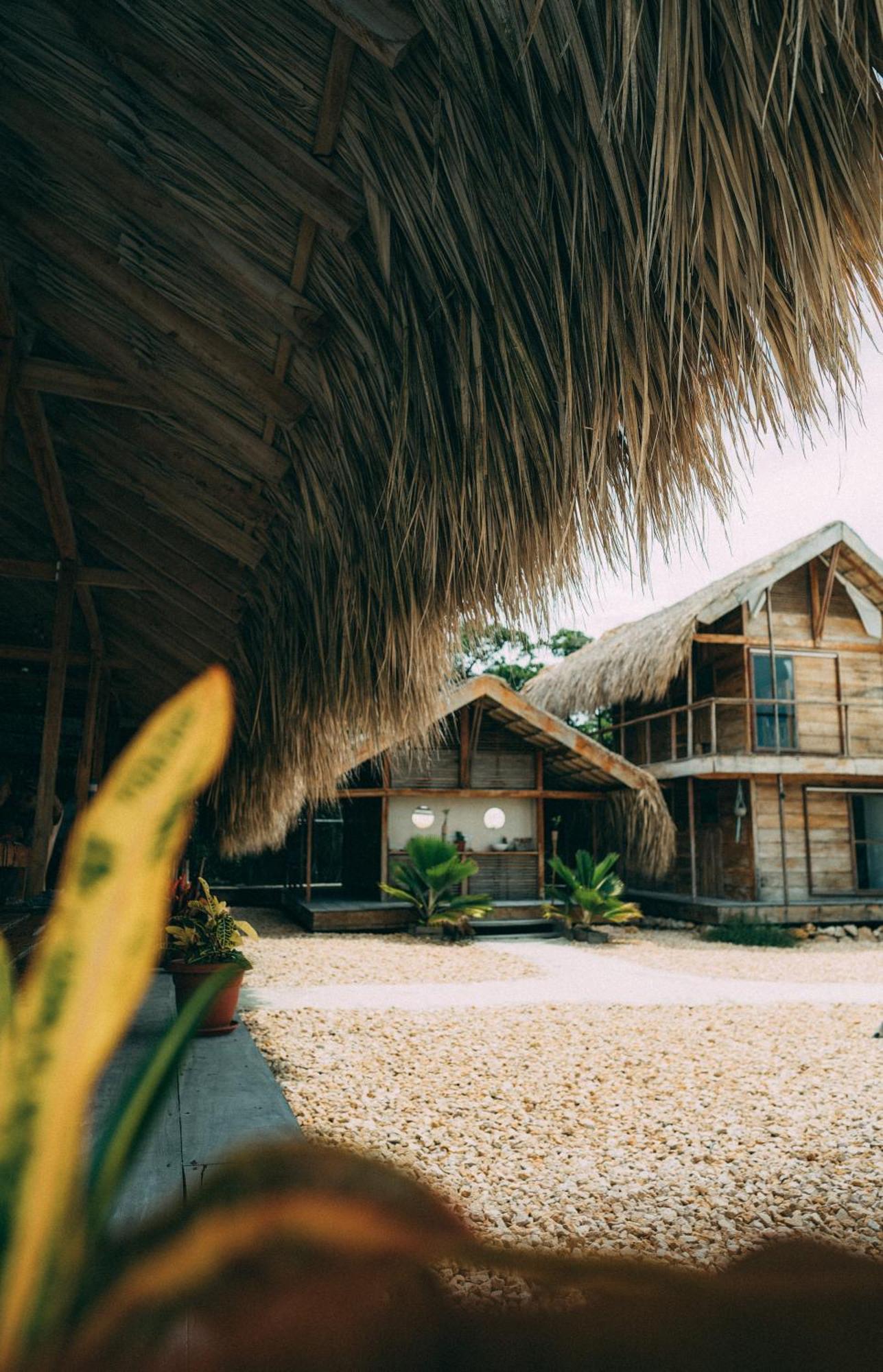 Santa Lova Eco-Hostel Isla Tintipan Tintipan Island Exteriör bild